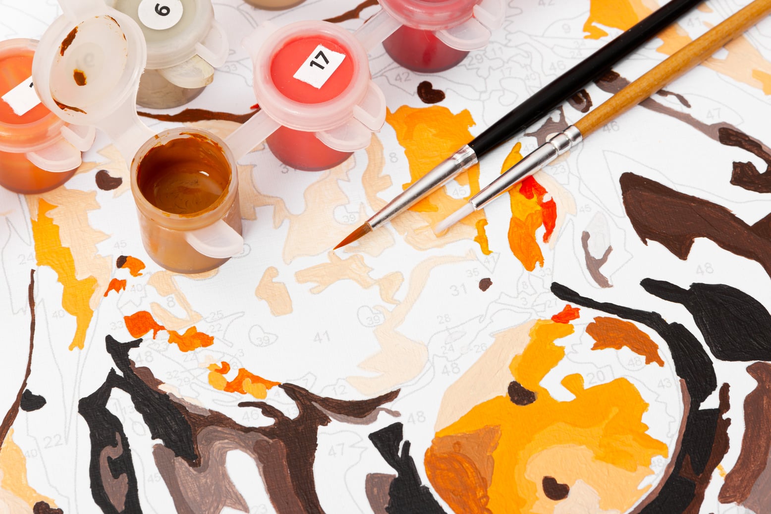 Drawing by numbers with acrylic paints.